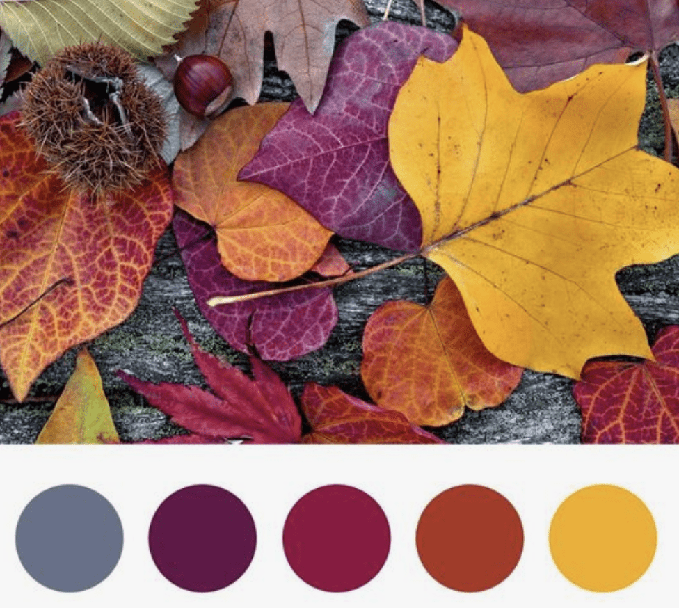 Fall wedding color palette