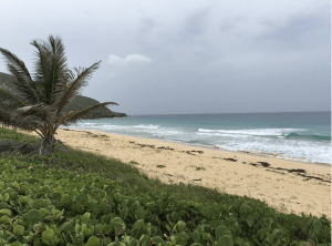 Beach shots of Isla Verde, Culebra and Rincon Puerto Rico